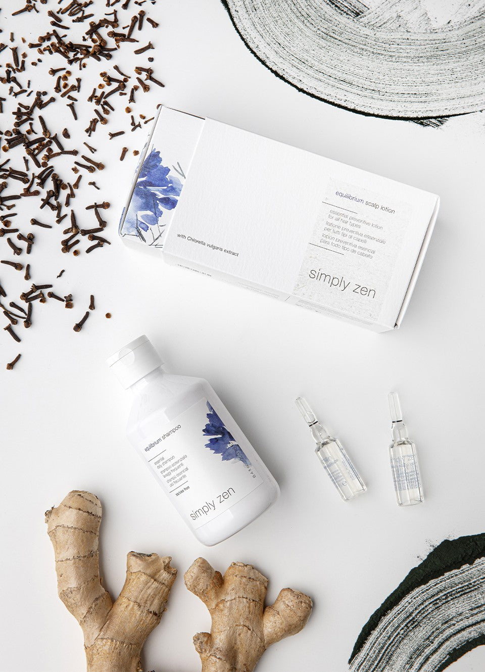 SIMPLY ZEN - OFFRE EQUILIBRIUM