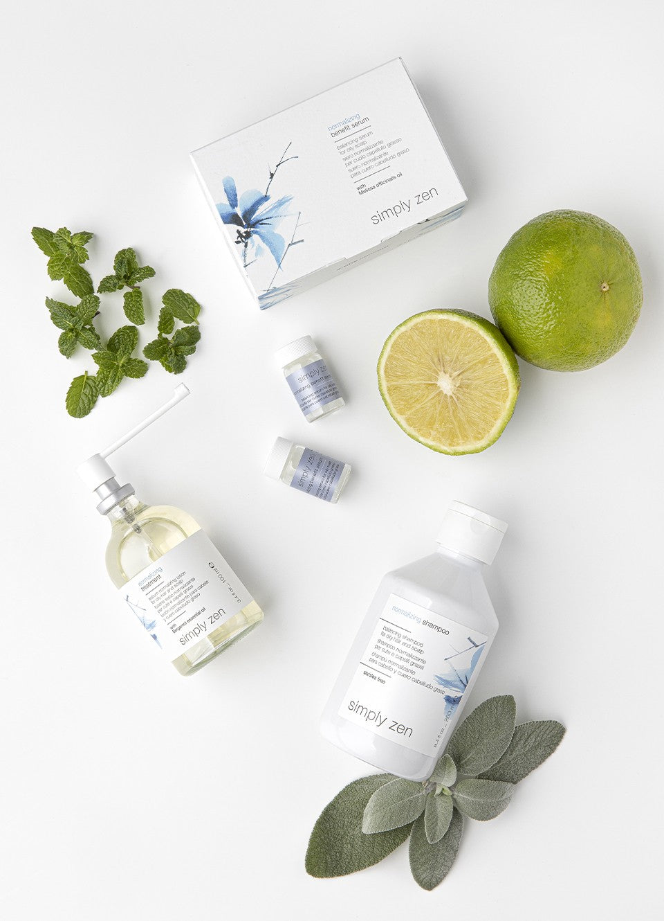 SIMPLY ZEN - OFFRE NORMALIZING