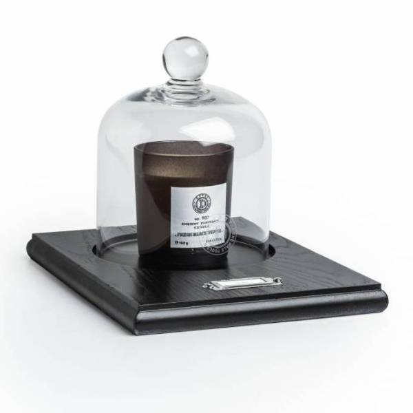 DEPOT No.901 Cloche en Verre + Socle