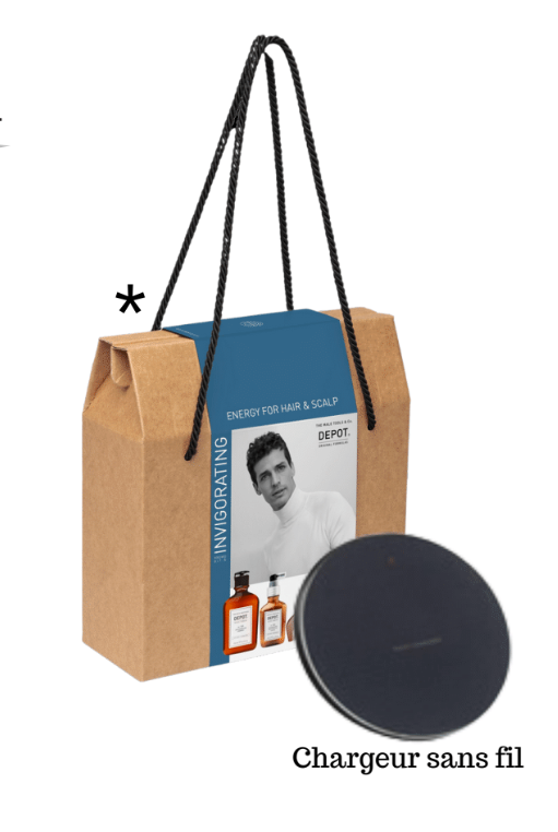 DEPOT KIT INVIGORATING - No. 105 Shampoo + No. 206 Lotion Energisante Intensive + chargeur mobile s/ fil + Boite cartonnée