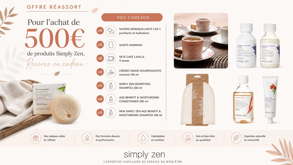 SIMPLYZEN - OFFRE REASSORT 500 €